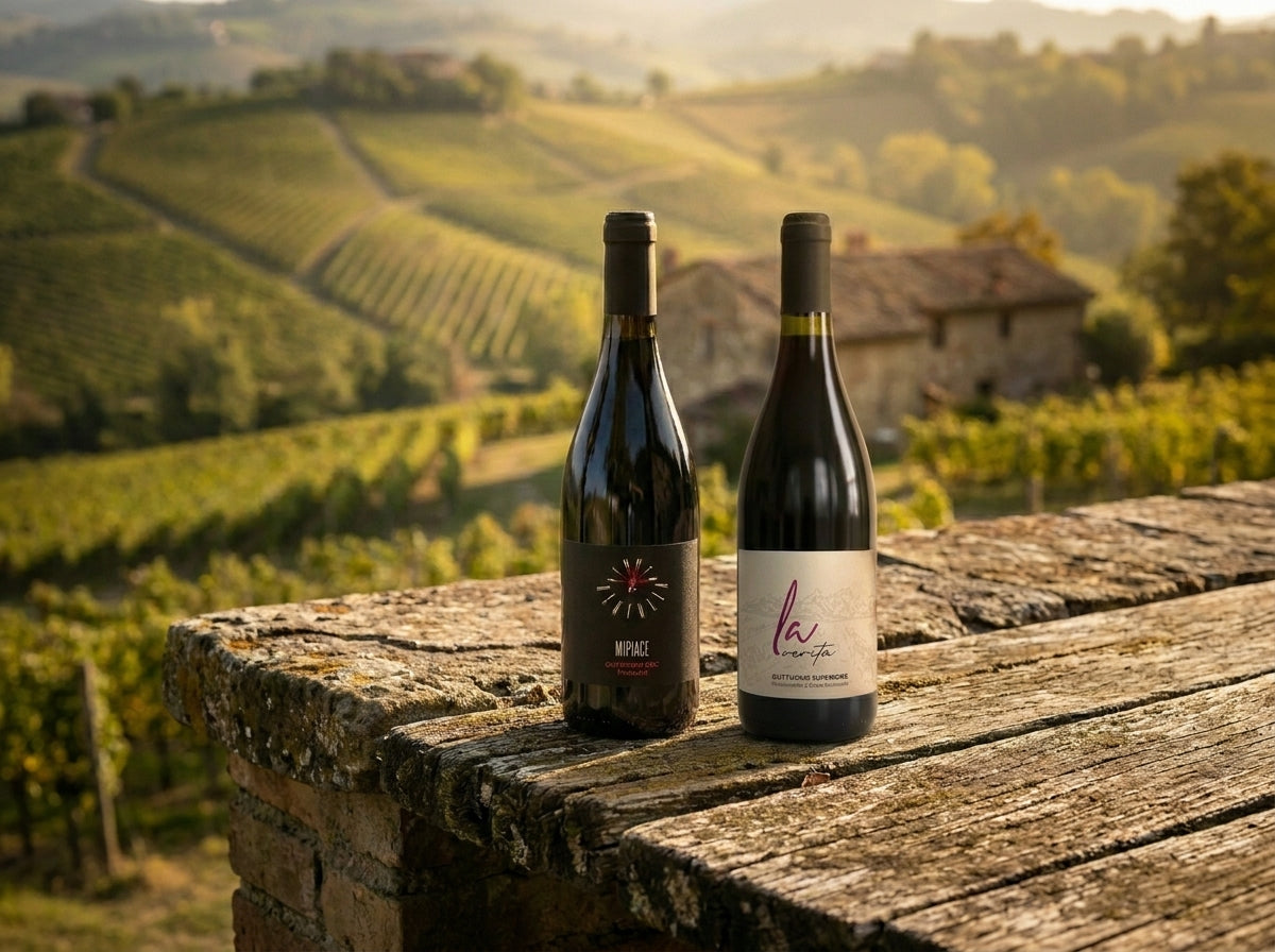Gutturnio DOC Colli Piacentini calice vino rosso vigneto