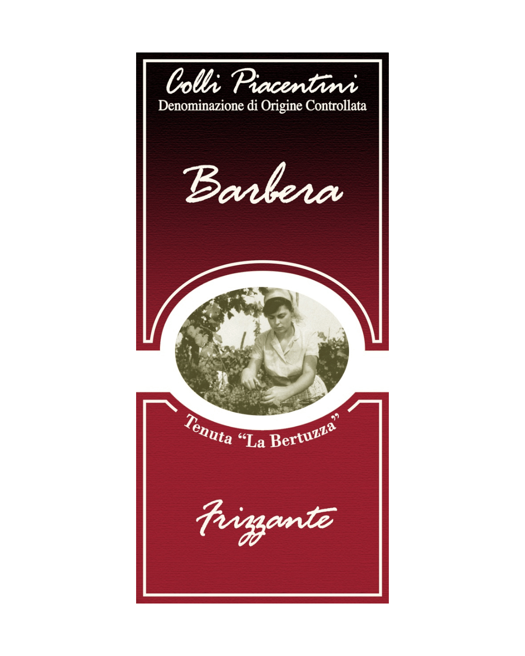 BARBERA - Vino Rosso Frizzante