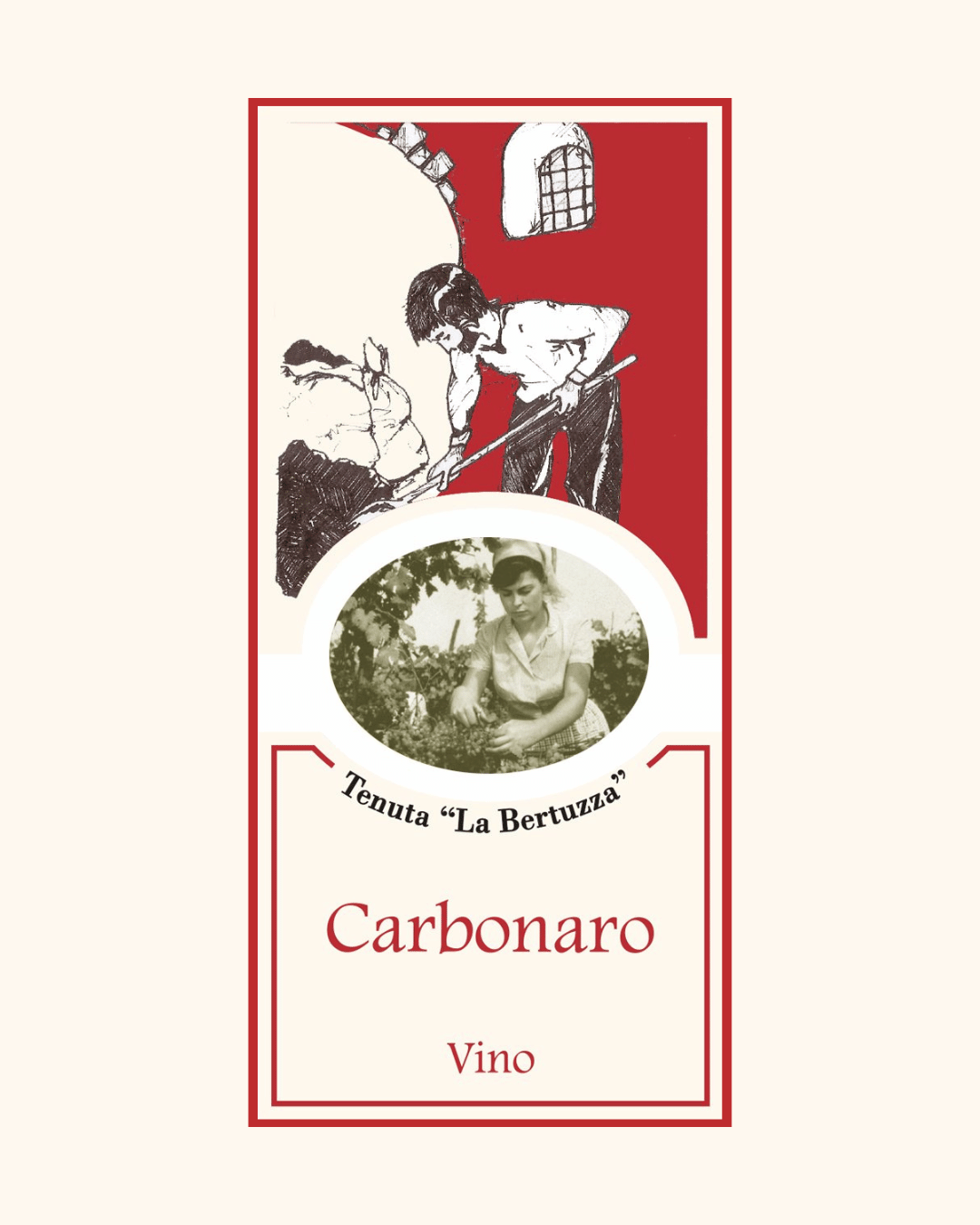 CARBONARO - Vino Rosso Frizzante