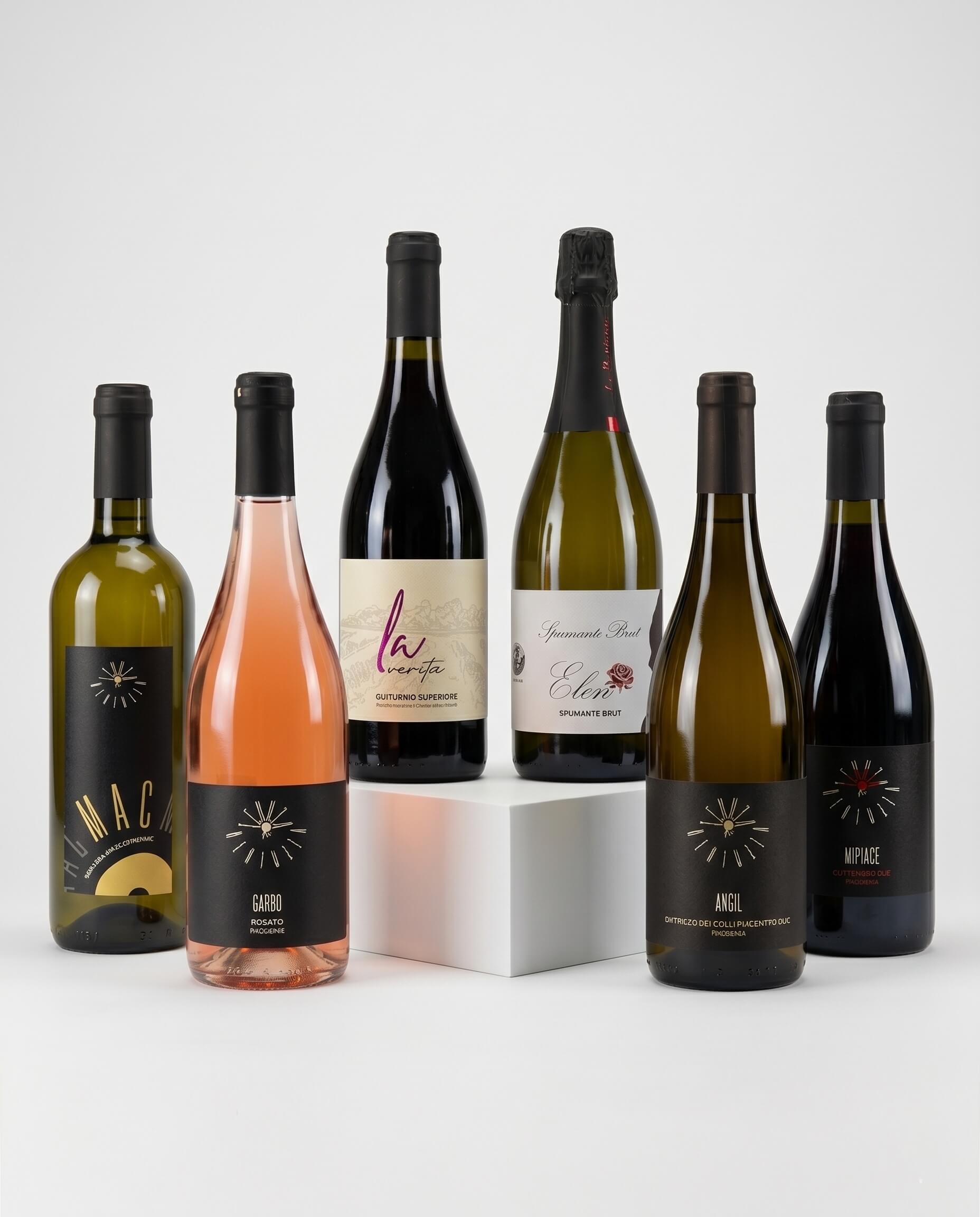 Una selezione Discovery Box verticale di sei bottiglie di vino Tenuta La Bertuzza, incluse Malvasia, Ortrugo, Gutturnio e Spumante, su sfondo minimale e pulito.