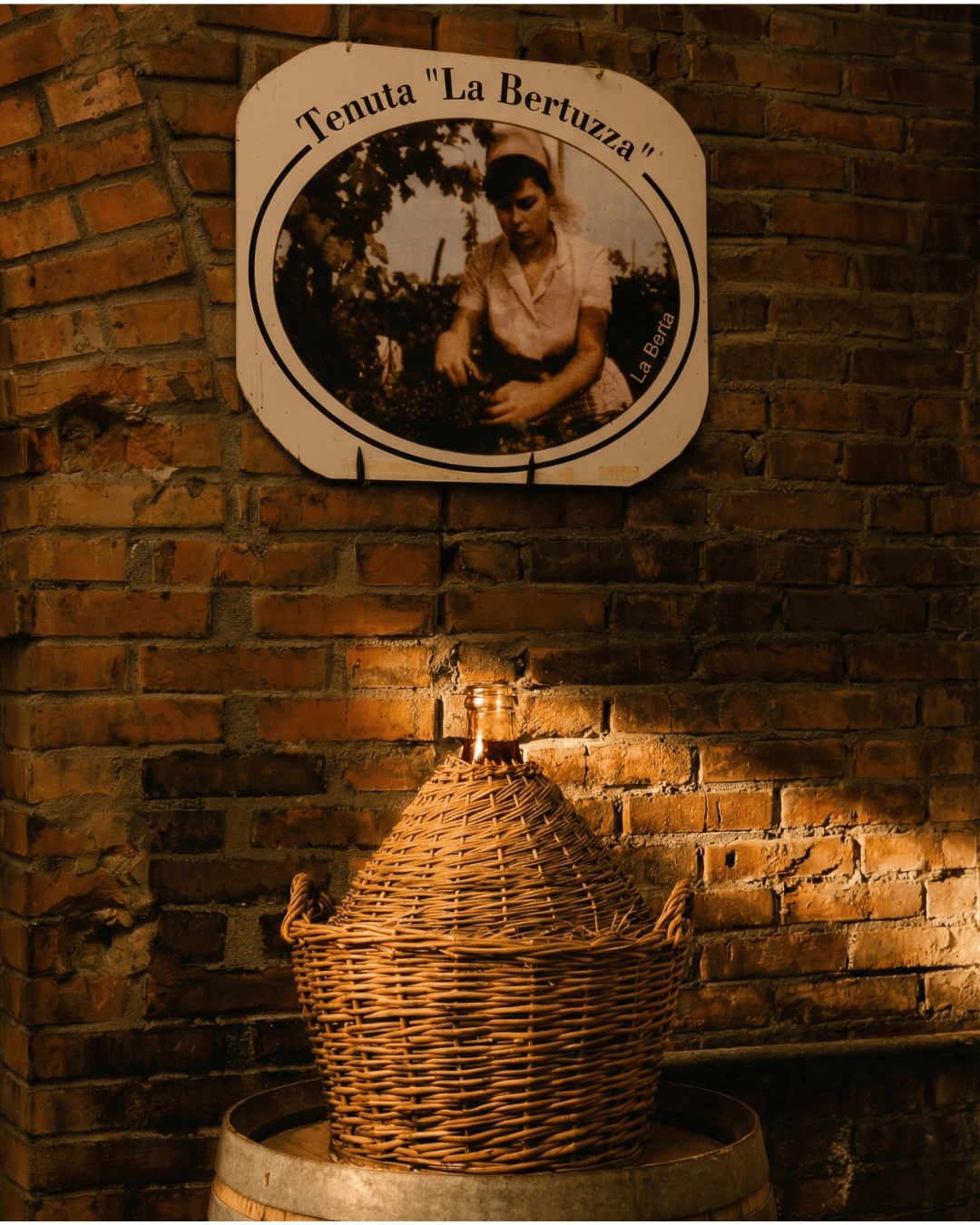 Vino Sfuso al Litro - Tenuta La Bertuzza